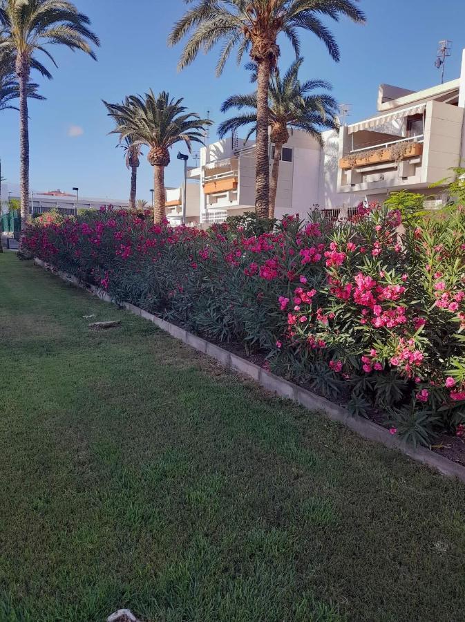 Primavera Apartment Olga With Free Wifi Arona  Dış mekan fotoğraf